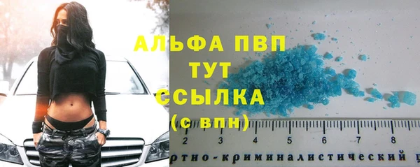 амф Алексин