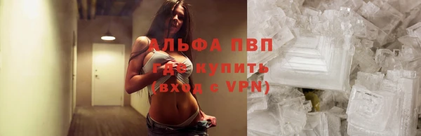 прущие грибы Алзамай