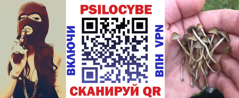 Псилоцибиновые грибы прущие грибы  купить закладку  Лянтор 